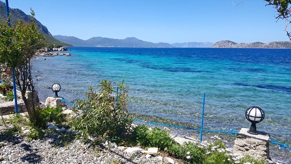 Hotel Mavi Akvaryum Pension à Sogut  Extérieur photo