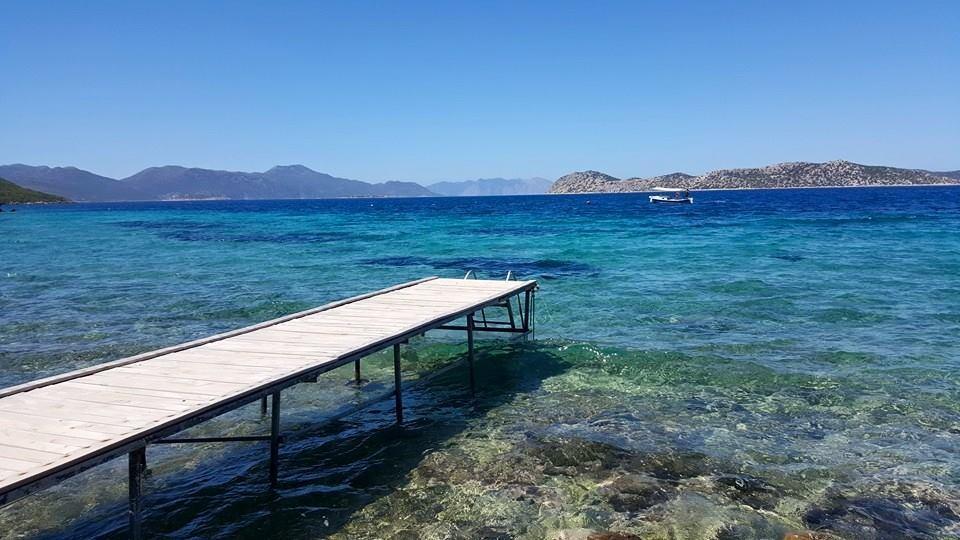 Hotel Mavi Akvaryum Pension à Sogut  Extérieur photo