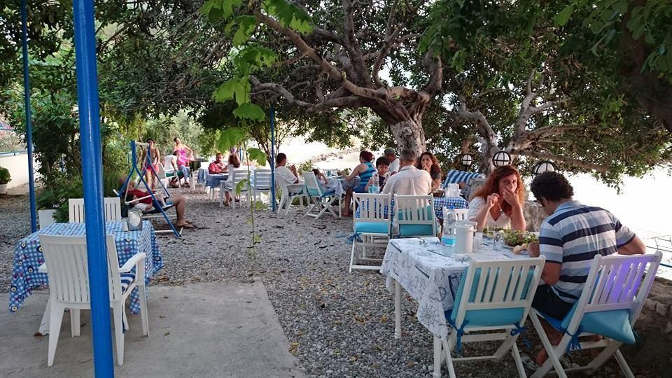 Hotel Mavi Akvaryum Pension à Sogut  Extérieur photo