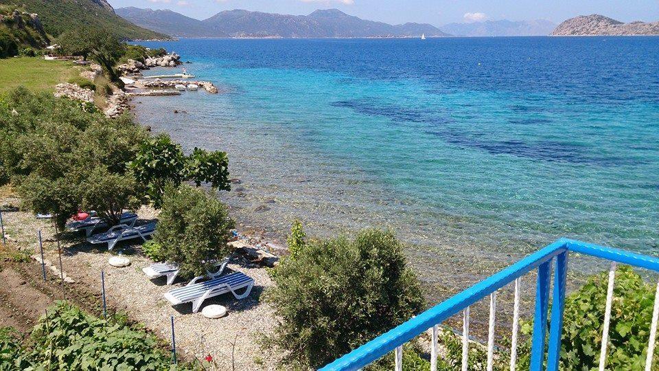 Hotel Mavi Akvaryum Pension à Sogut  Extérieur photo