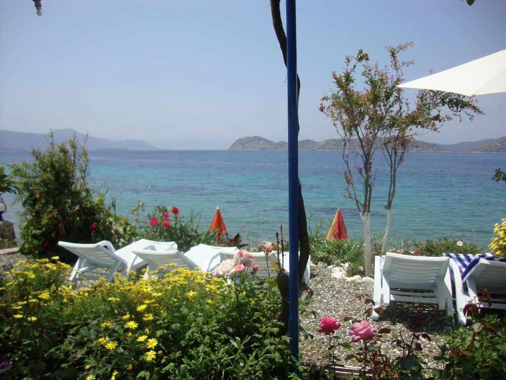 Hotel Mavi Akvaryum Pension à Sogut  Extérieur photo