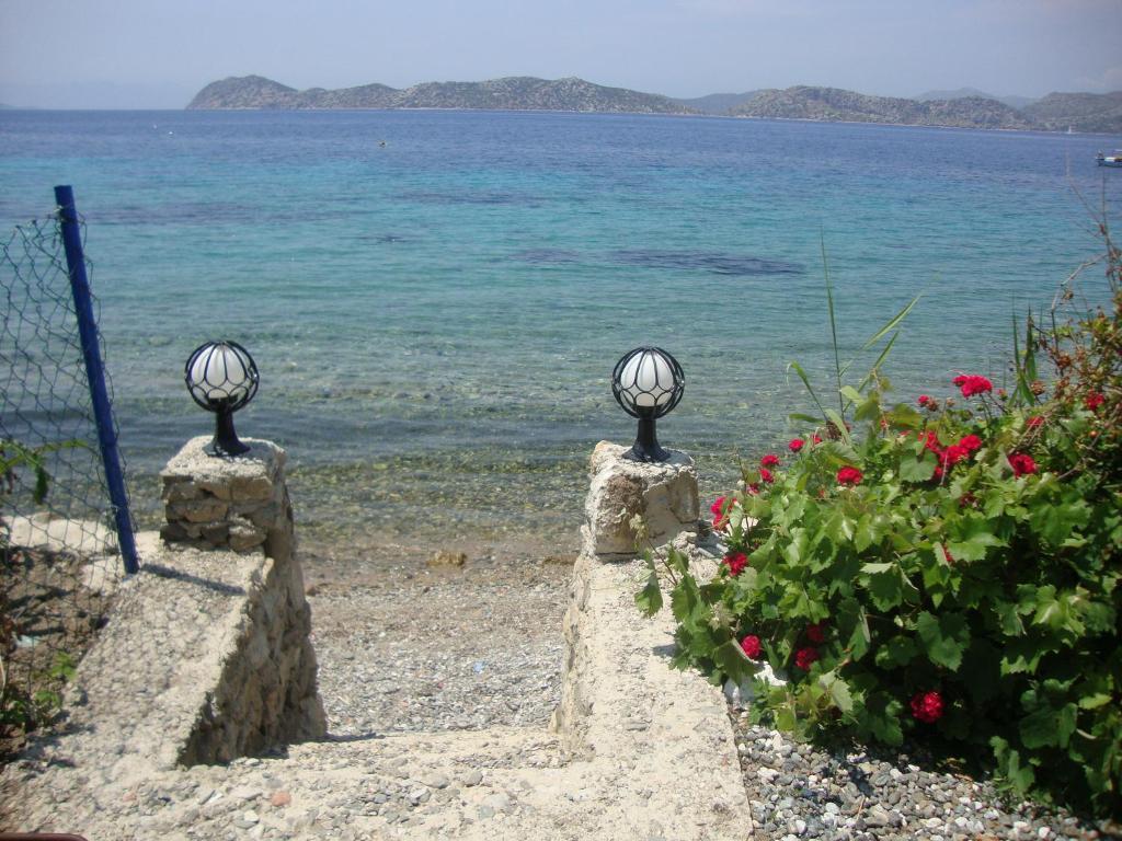 Hotel Mavi Akvaryum Pension à Sogut  Extérieur photo