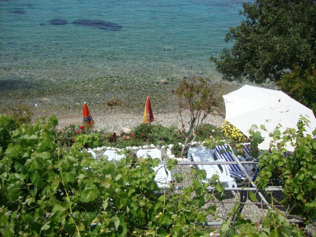 Hotel Mavi Akvaryum Pension à Sogut  Extérieur photo