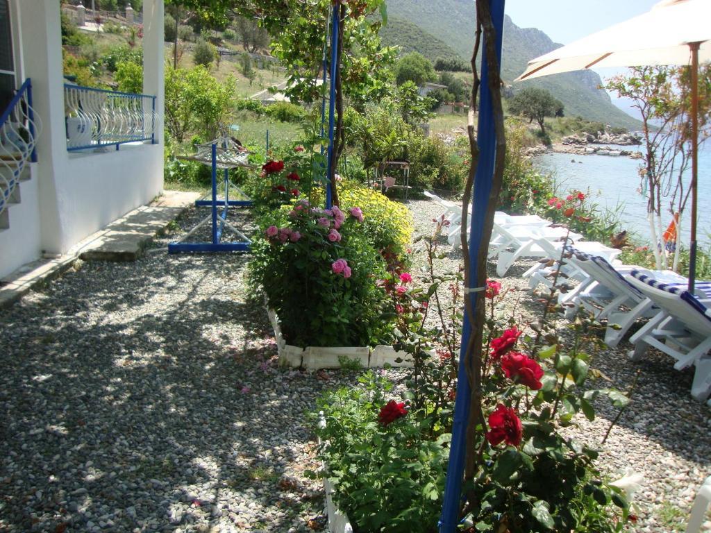 Hotel Mavi Akvaryum Pension à Sogut  Extérieur photo