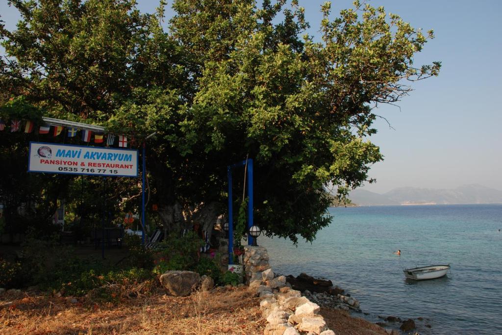 Hotel Mavi Akvaryum Pension à Sogut  Extérieur photo