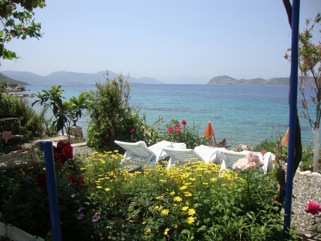 Hotel Mavi Akvaryum Pension à Sogut  Extérieur photo